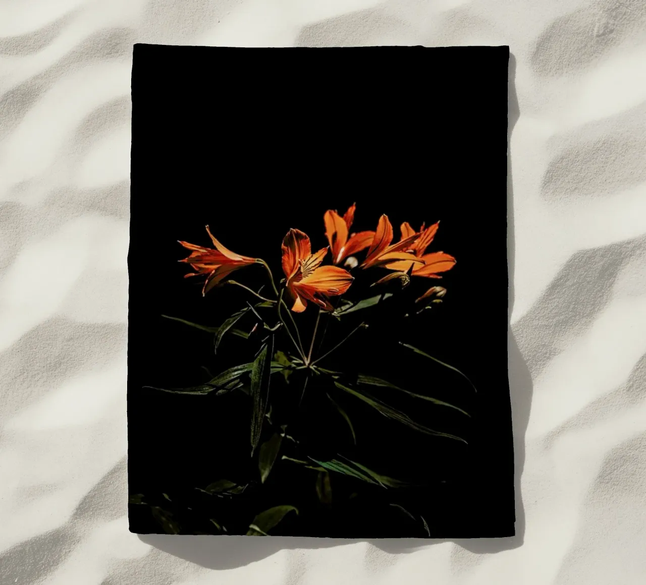 Inflorescence telo mare da EyeEm Mobile GmbH