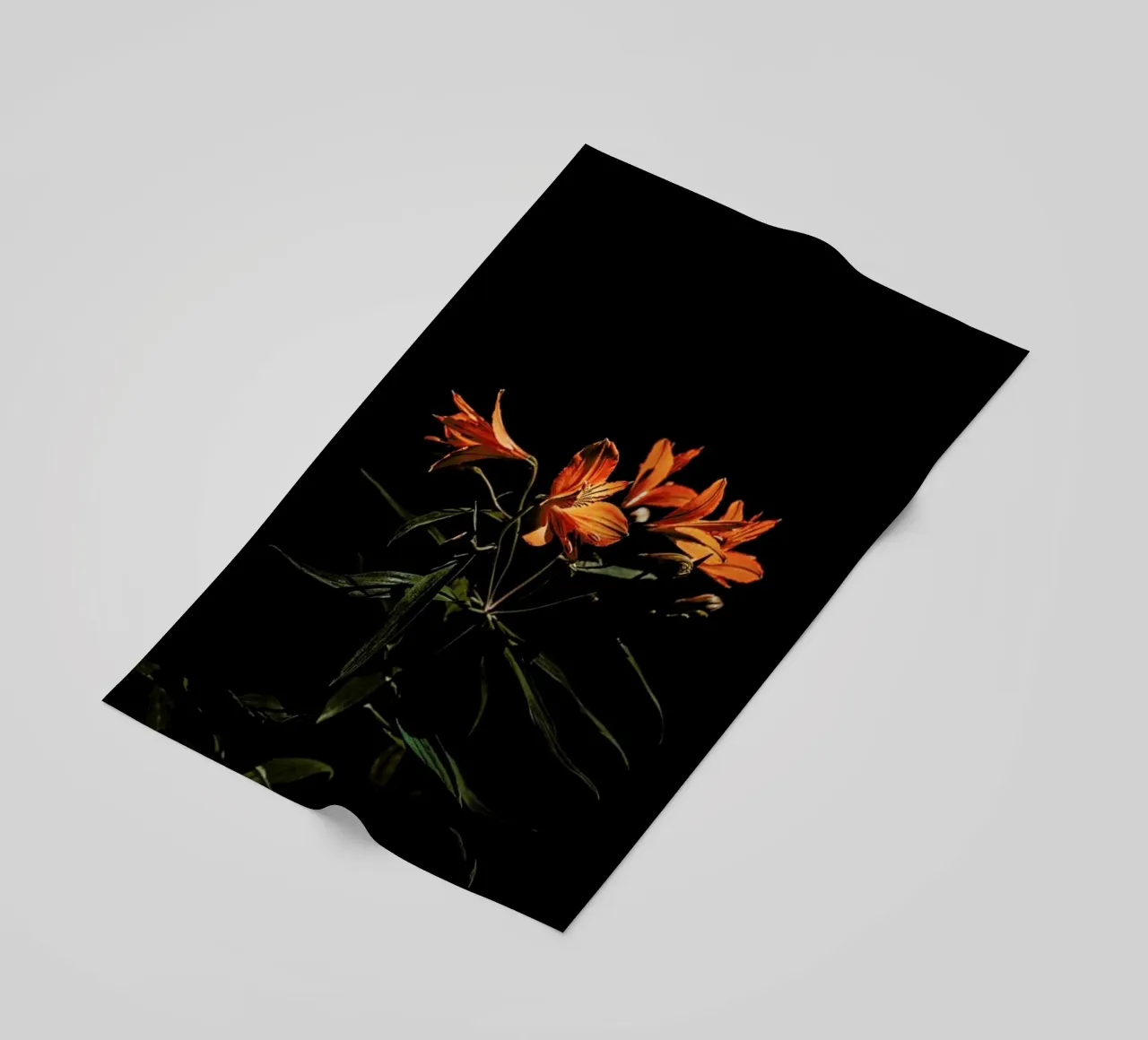 Inflorescence telo mare da EyeEm Mobile GmbH