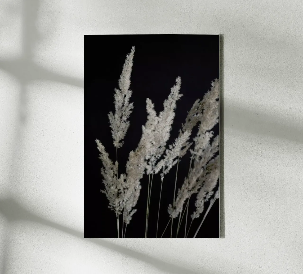 Perfect Pampas In The Dark tela con Cornice a cassetta da Studio Nahili