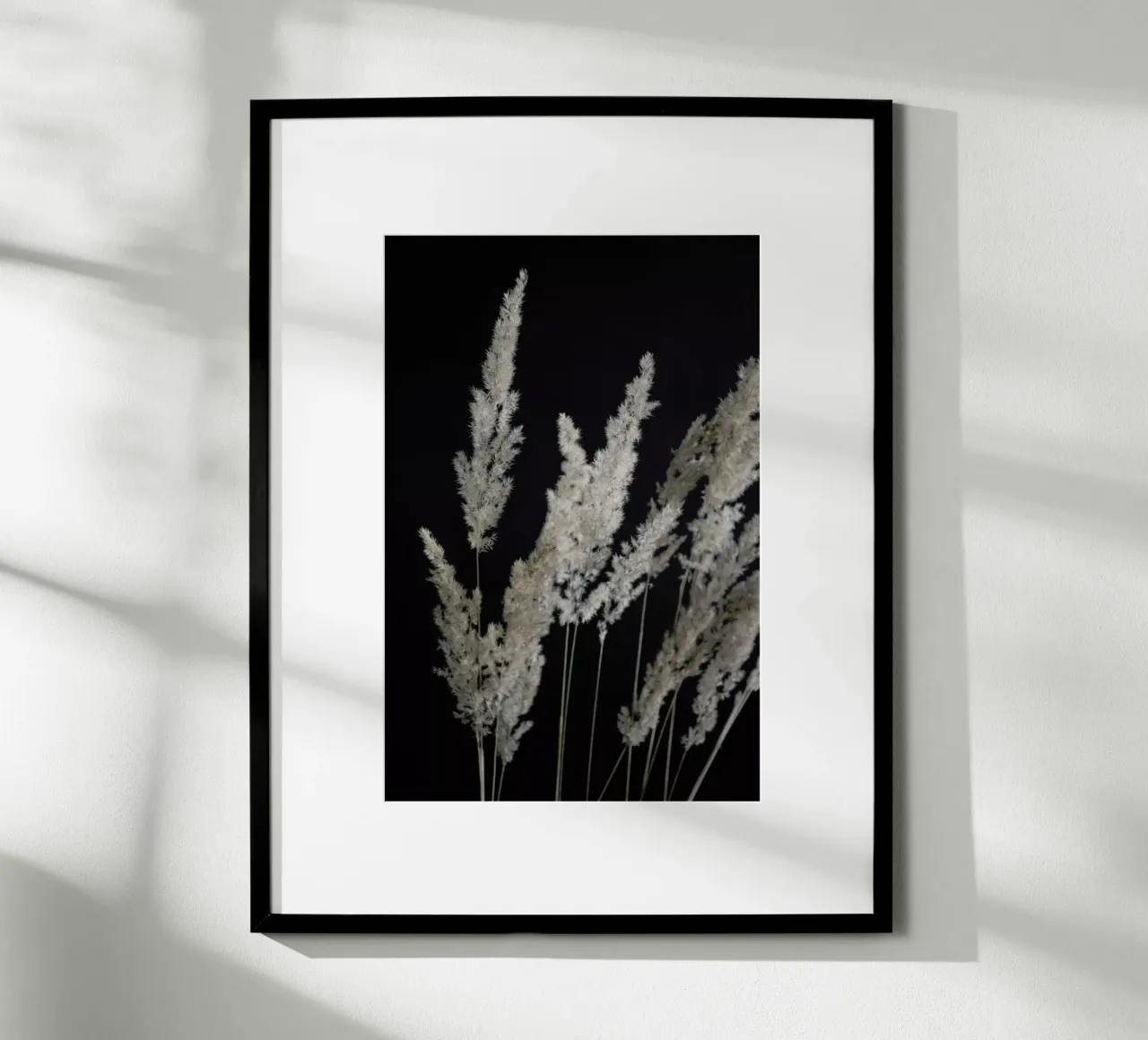 Perfect Pampas In The Dark carta hahnemühle da Studio Nahili