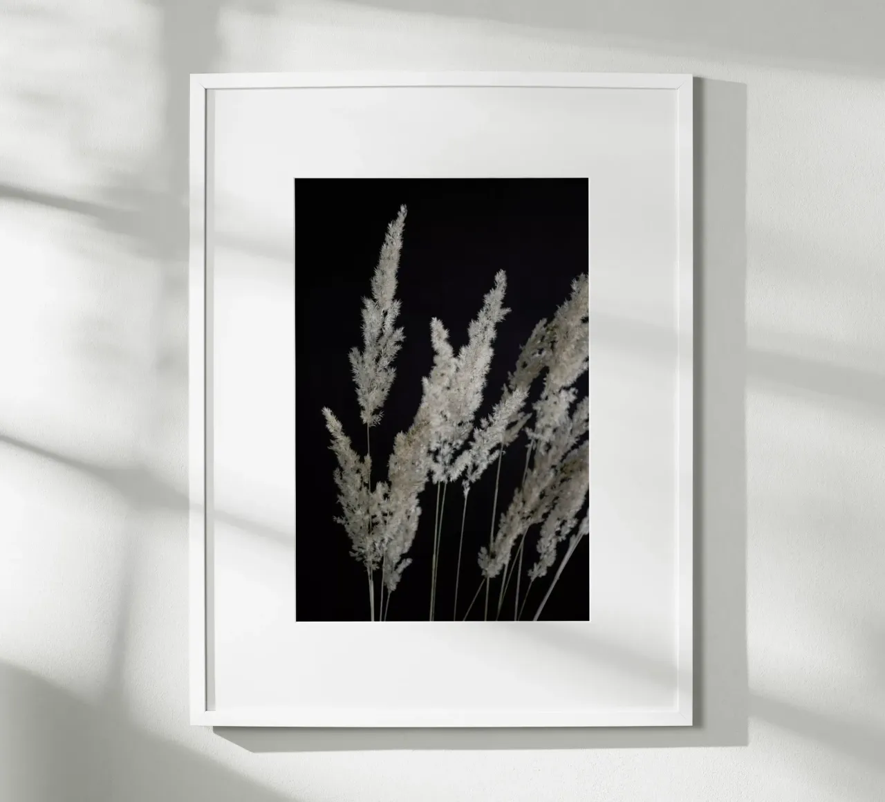 Perfect Pampas In The Dark carta hahnemühle da Studio Nahili