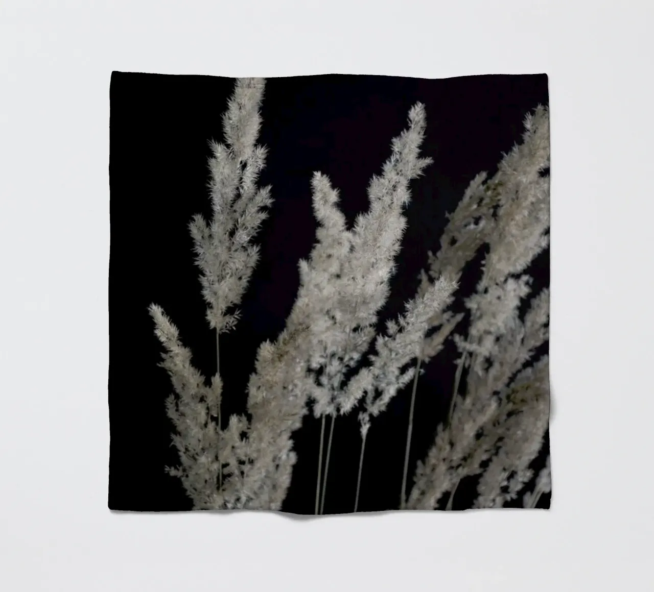 Perfect Pampas In The Dark coperta in pile da Studio Nahili