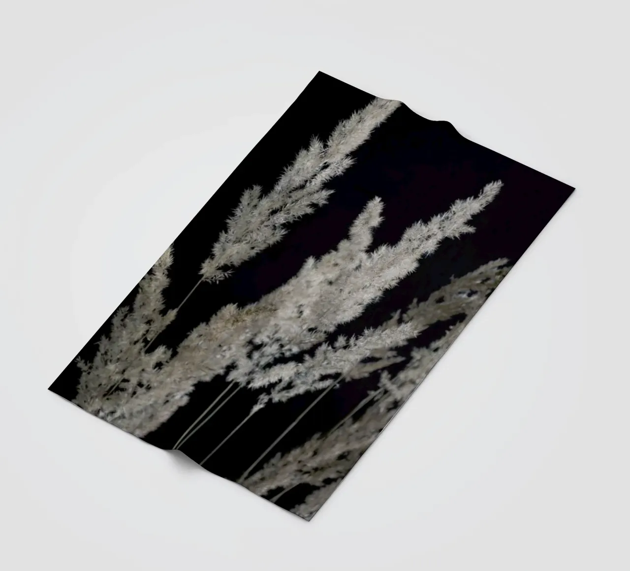 Perfect Pampas In The Dark coperta in pile da Studio Nahili