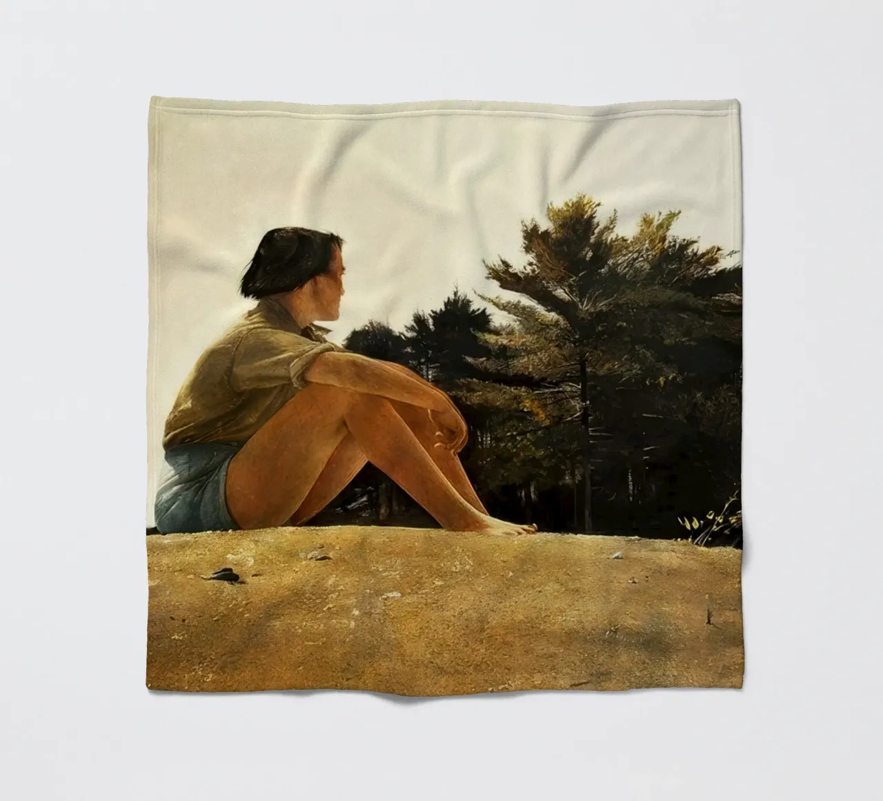 Andrew Wyeth Sandspit coperta in pile da Classicprint