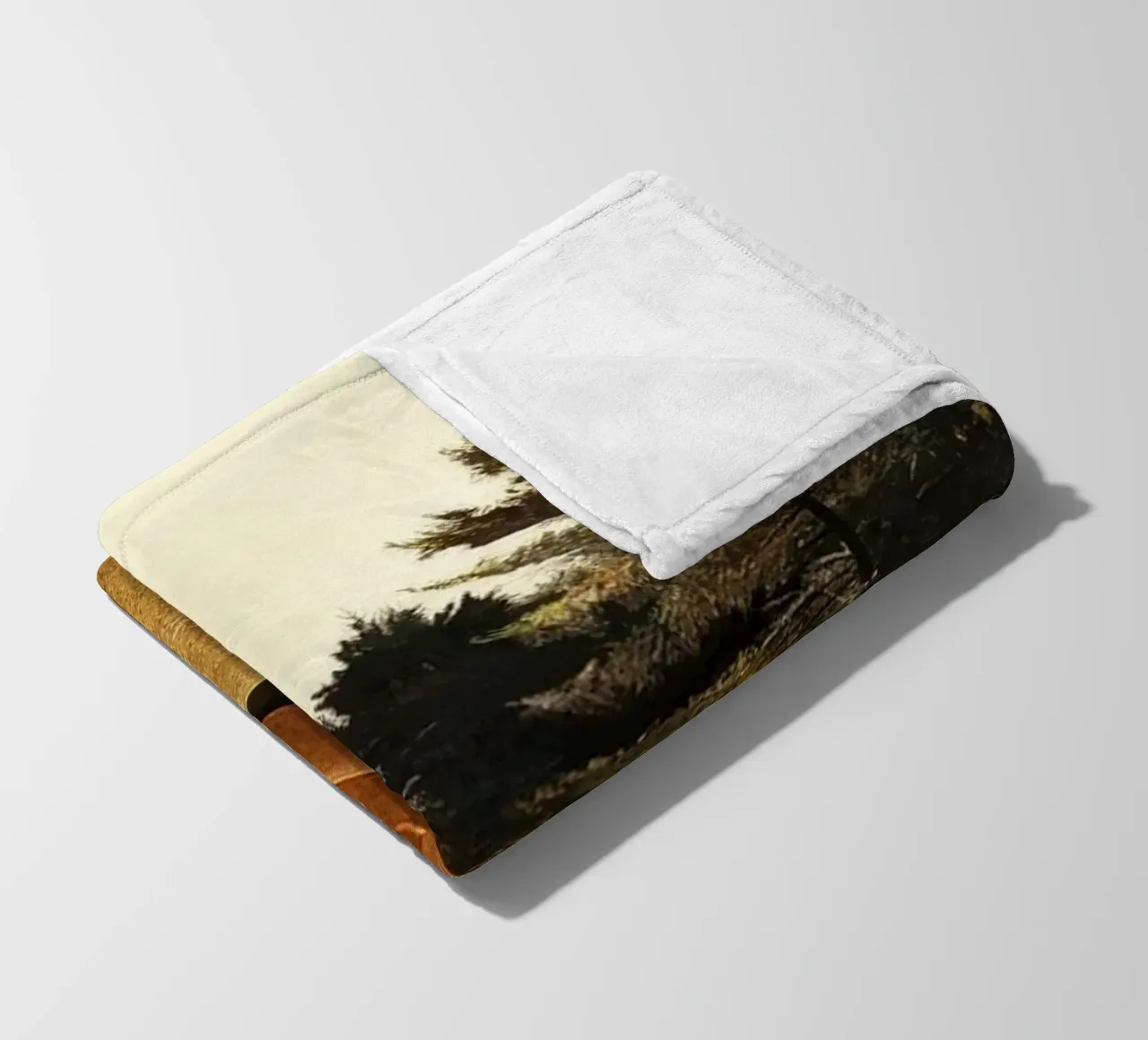 Andrew Wyeth Sandspit coperta in pile da Classicprint