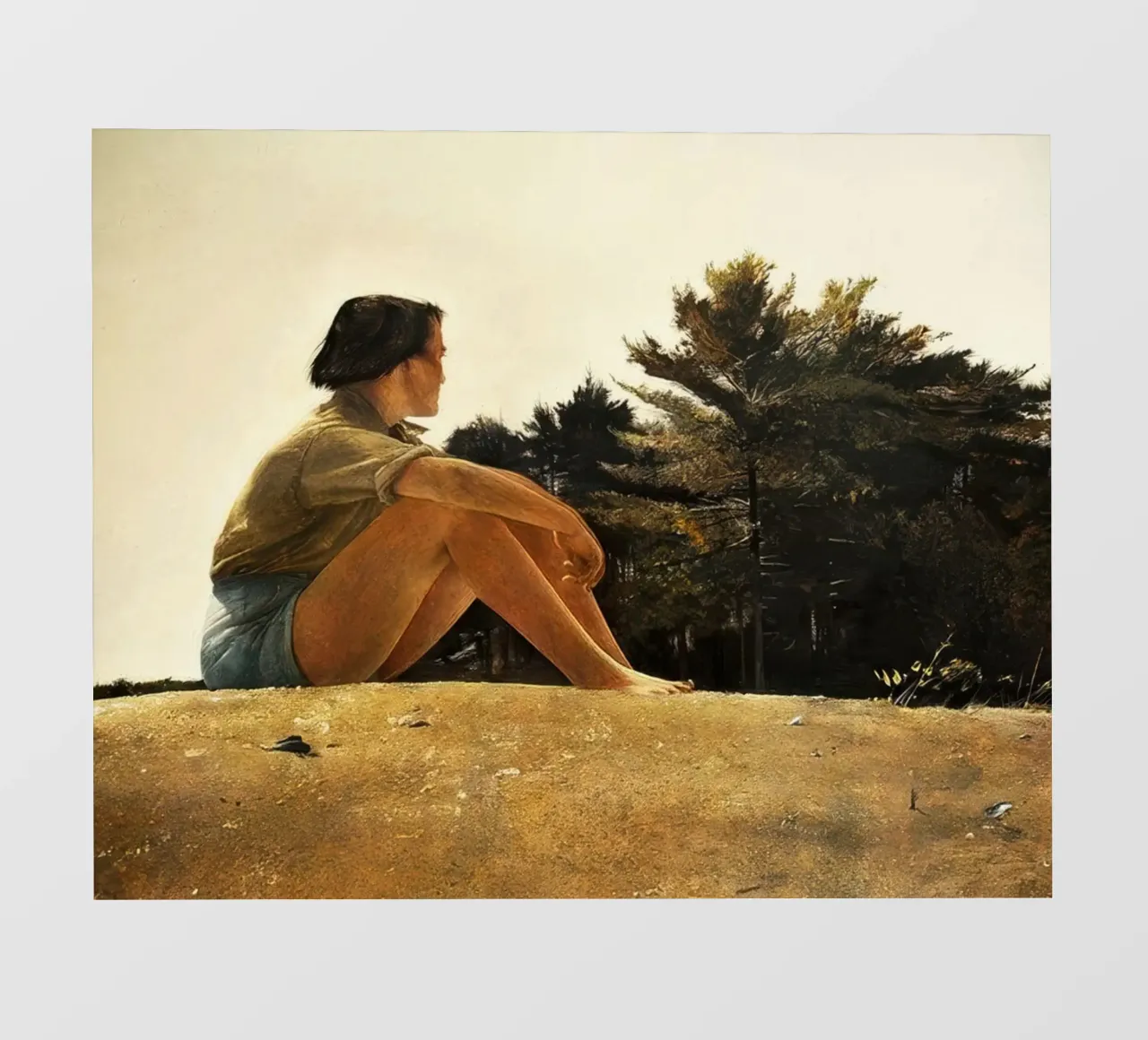 Andrew Wyeth Sandspit telo in pvc da Classicprint