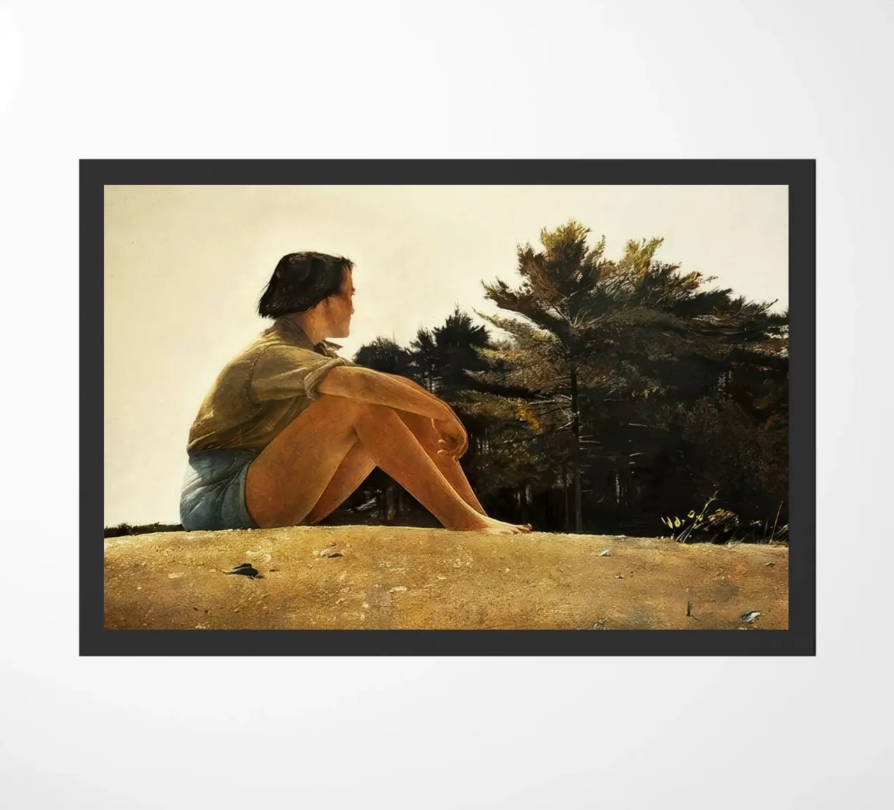 Andrew Wyeth Sandspit zerbino da Classicprint