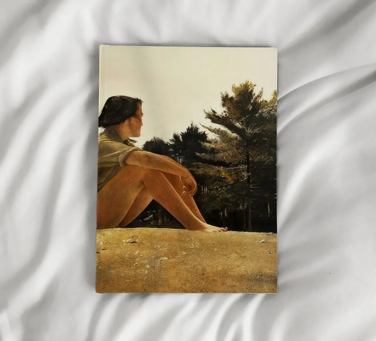 Andrew Wyeth Sandspit notebook by Classicprint