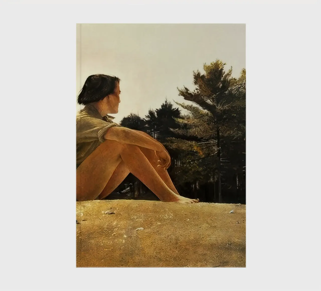Andrew Wyeth Sandspit notebook by Classicprint