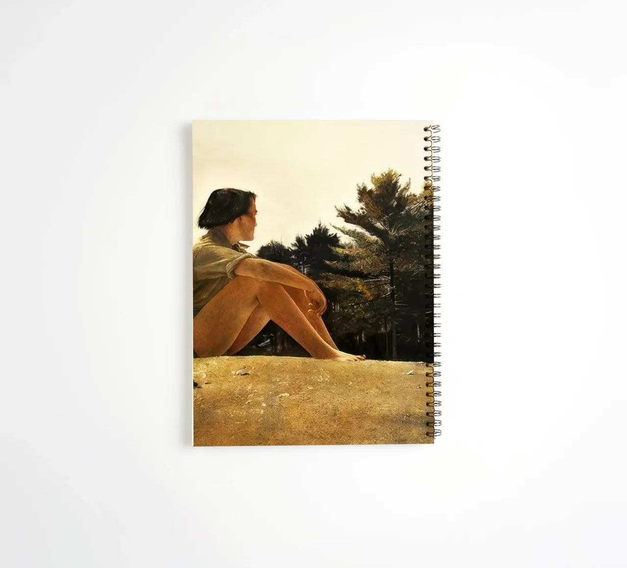 Andrew Wyeth Sandspit spiral notebook by Classicprint