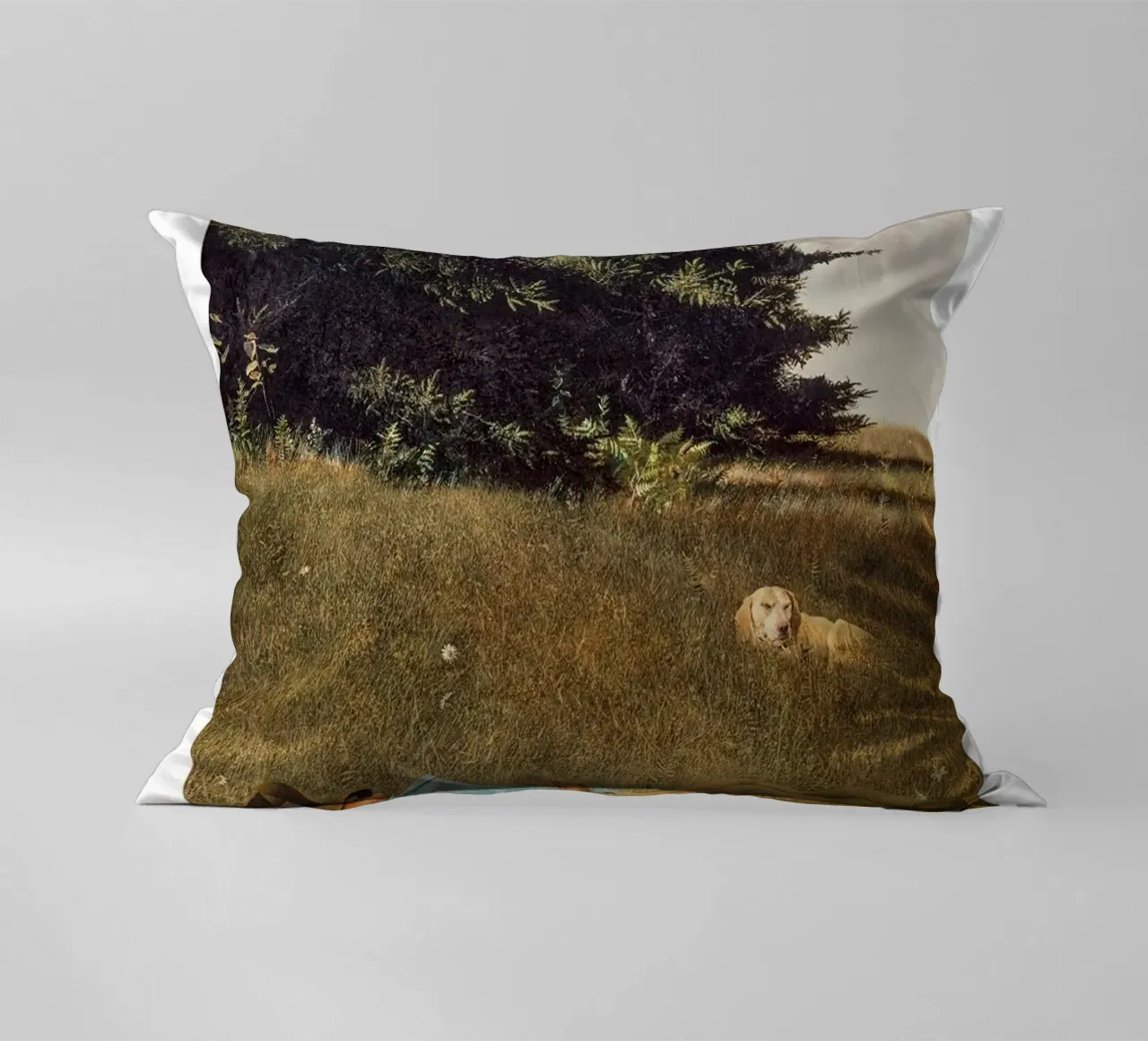 Andrew Wyeth Distant Thunder decorative cushion by Classicprint