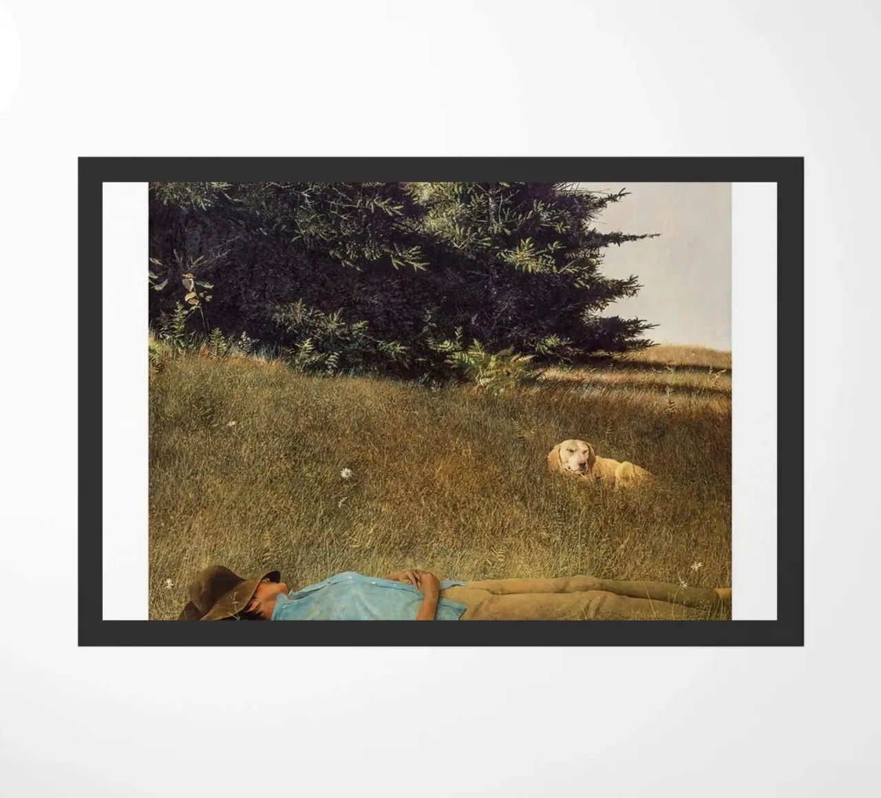 Andrew Wyeth Tuono lontano zerbino da Classicprint