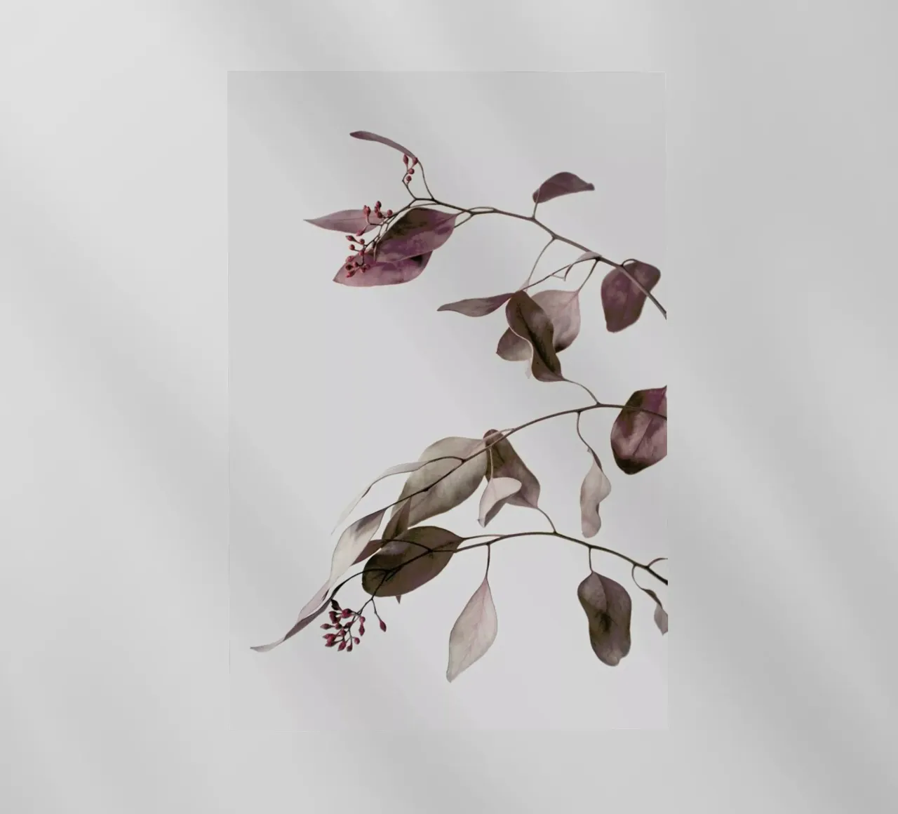 Red Purple Peach Dried Eucalyptus Branches pellicola backlit da Studio Nahili