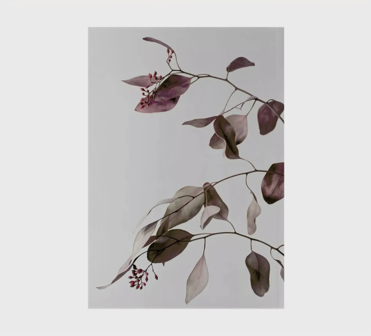 Red Purple Peach Dried Eucalyptus Branches notebook by Studio Nahili