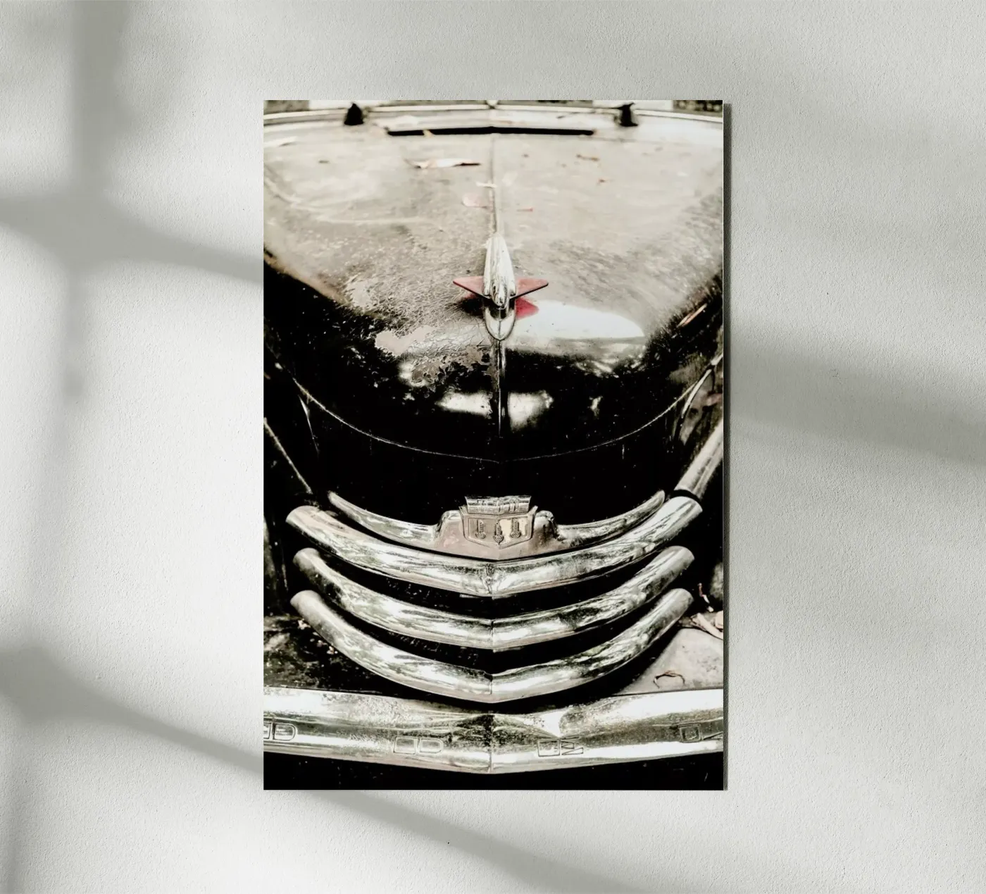 Eldorado alluminio dibond da Shot By Clint