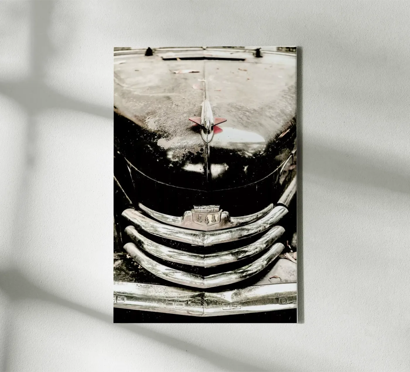 Eldorado tela da Shot By Clint