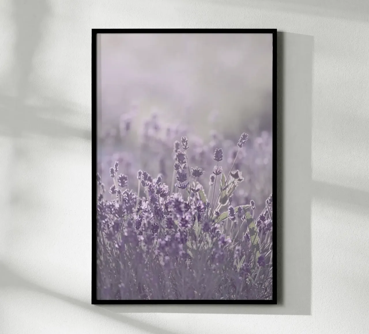 Sunkissed Lavender - Lavendel im Sonnenlicht carta hahnemühle da Monika Strigel