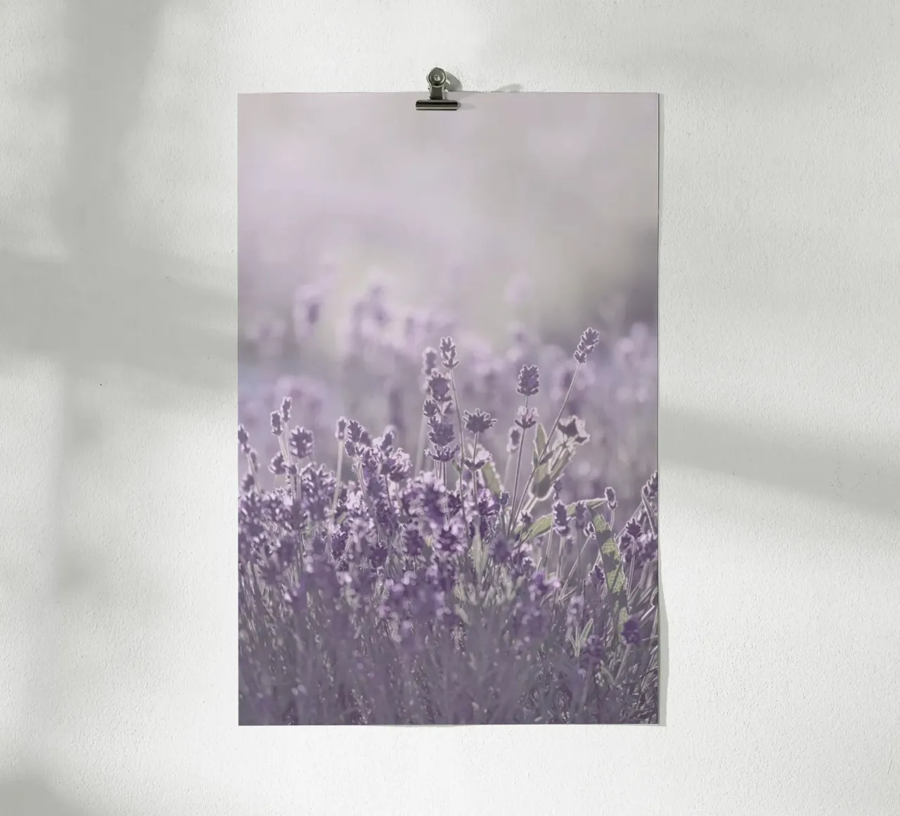 Sunkissed Lavender - Lavendel im Sonnenlicht carta hahnemühle da Monika Strigel