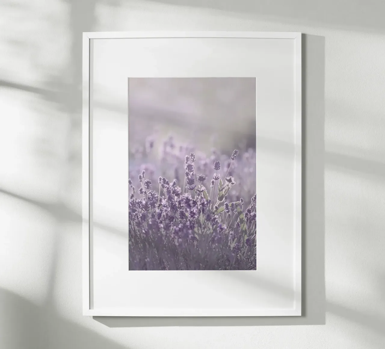 Sunkissed Lavender - Lavendel im Sonnenlicht carta hahnemühle da Monika Strigel