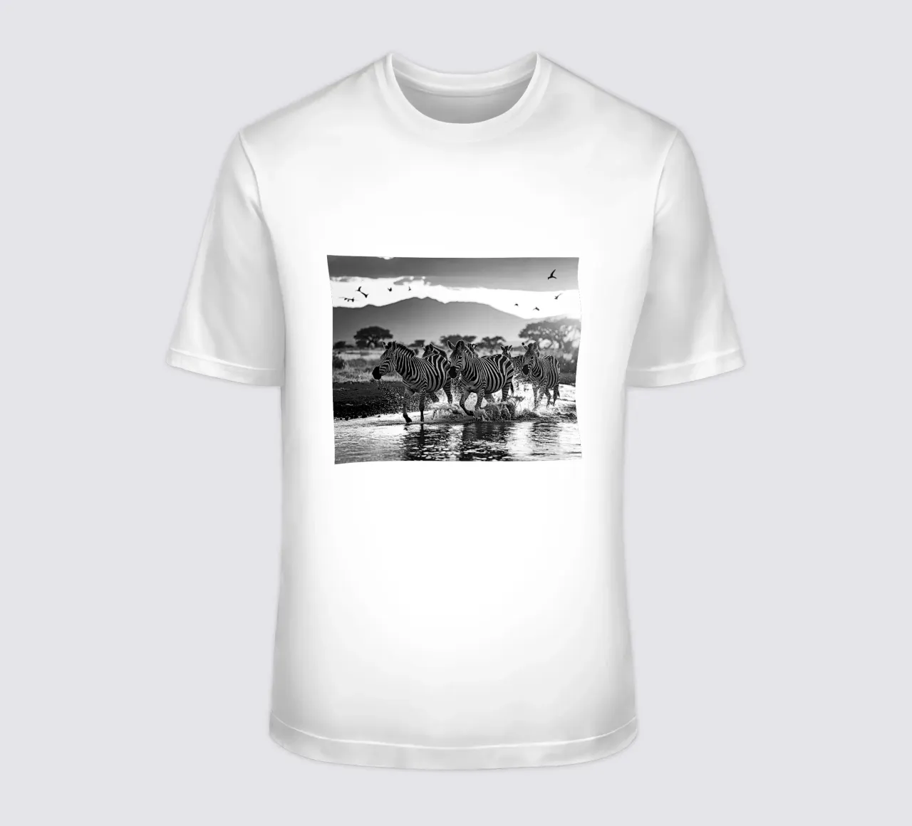 Troupeau de zèbres. Noir et blanc t-shirt da Thierry vobmann photography