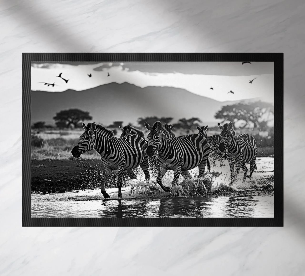 Troupeau de zèbres. Noir et blanc zerbino da Thierry vobmann photography