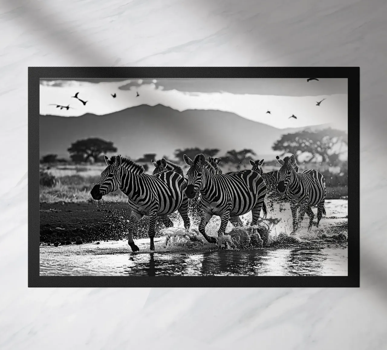 Troupeau de zèbres. Noir et blanc zerbino da Thierry vobmann photography