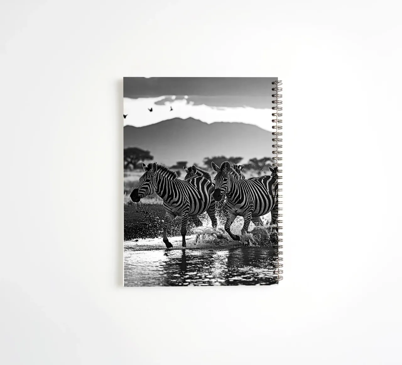 Troupeau de zèbres. Noir et blanc spiral notebook by Thierry vobmann photography