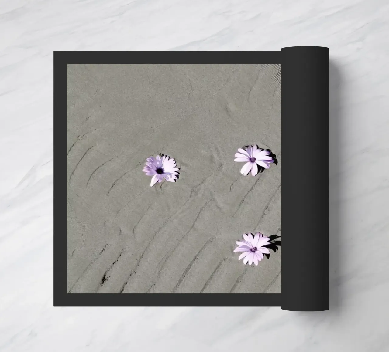 Daisies zerbino da George Griefy