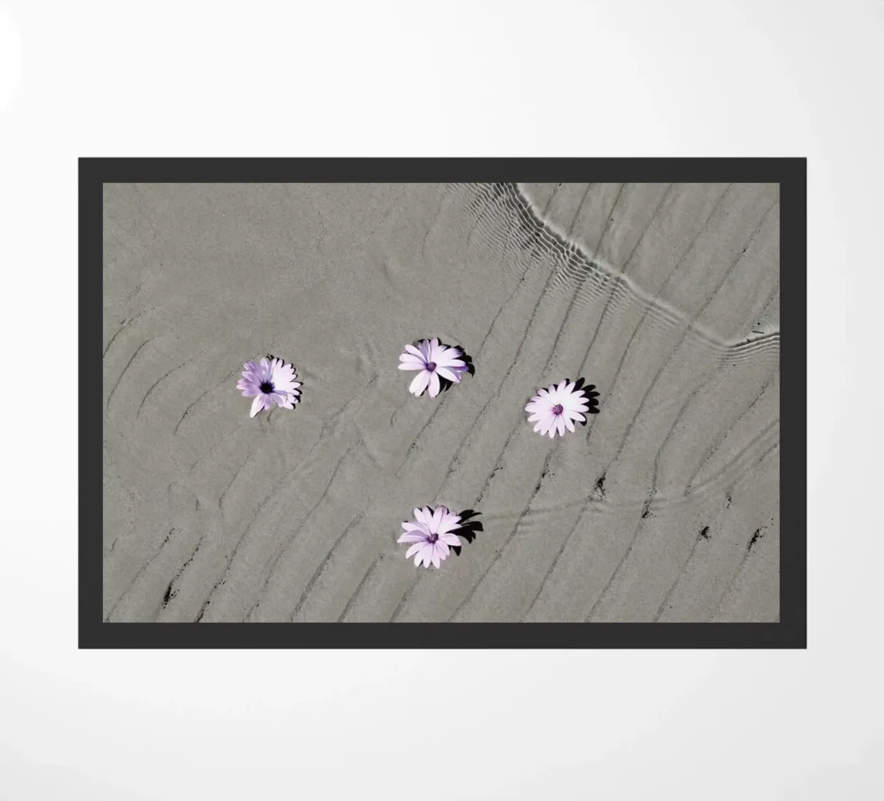 Daisies zerbino da George Griefy