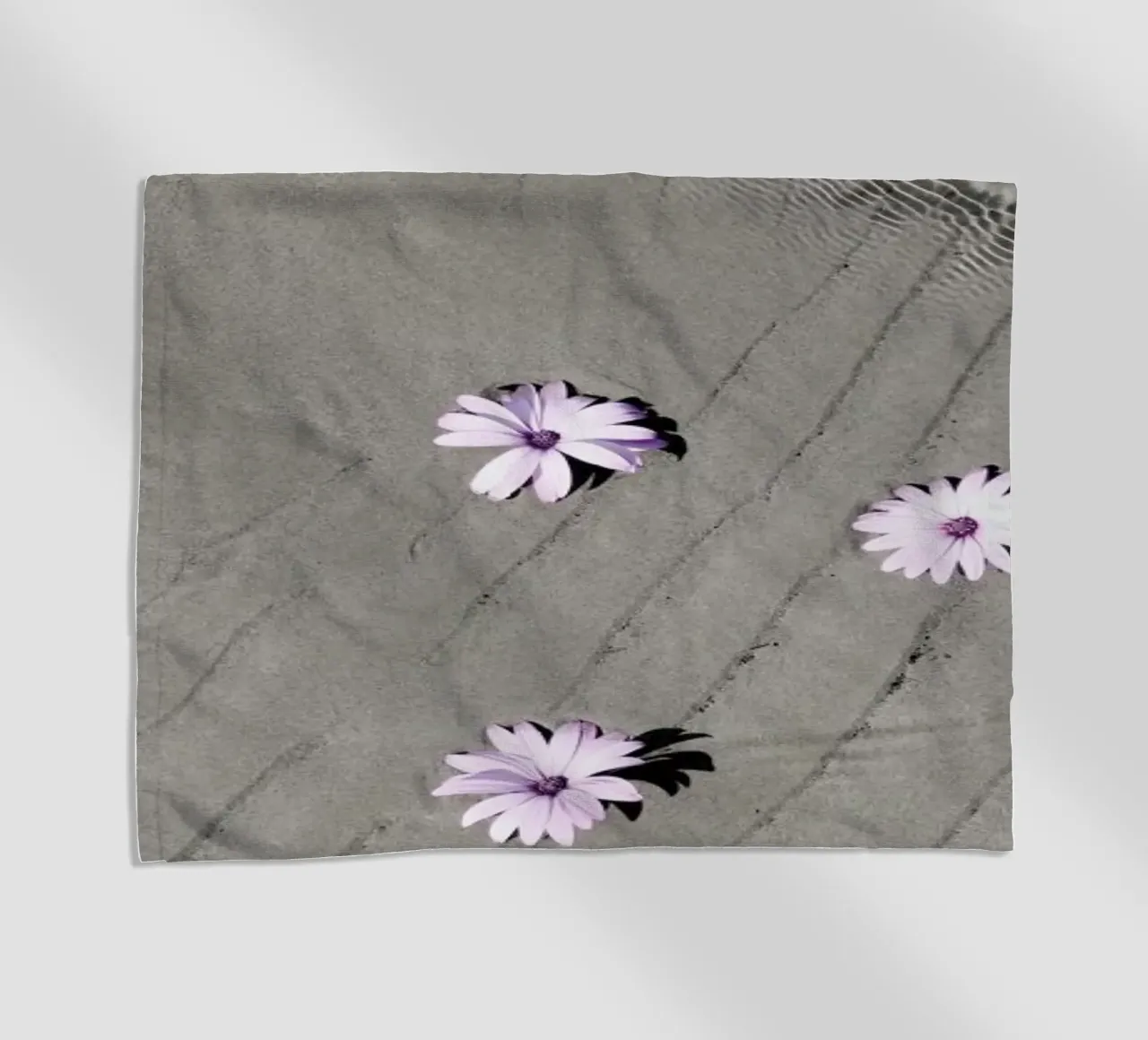 Daisies telo mare da George Griefy