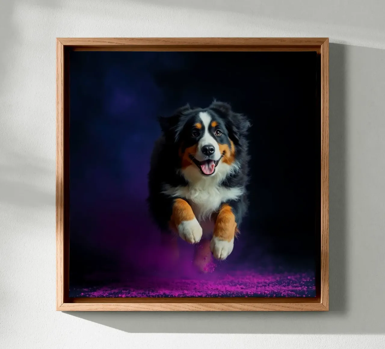 The colorful Bernese Mountain Dog #175 canvas with Floater frame by Yumis.Beargang.and.Me