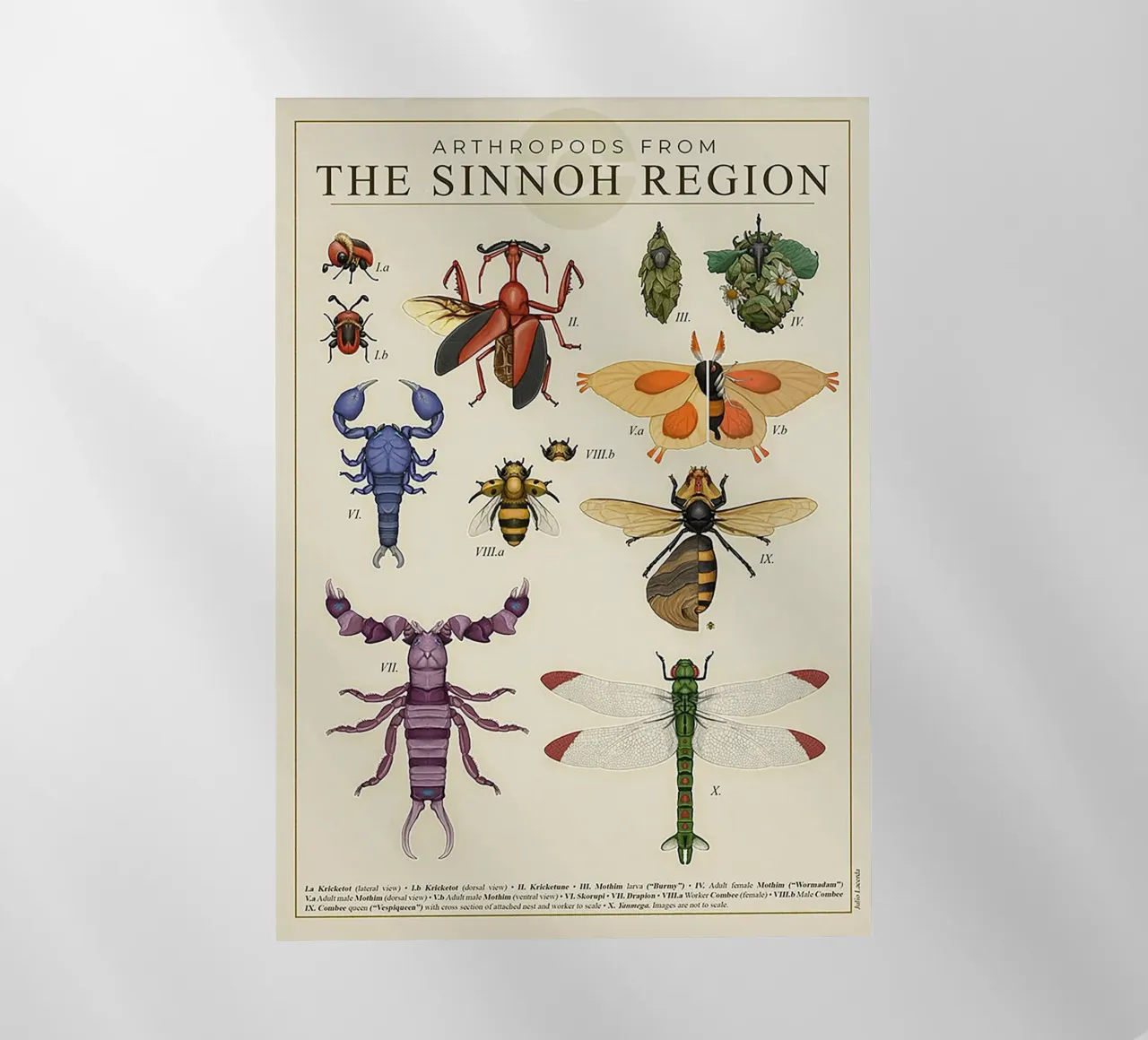 Sinnoh Region Insect Guide pellicola backlit da Attaboy Dsgn