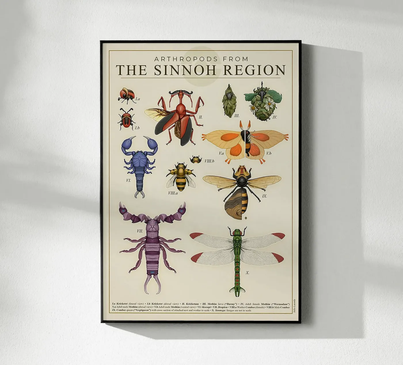 Sinnoh Region Insect Guide plexiglass da Attaboy Dsgn