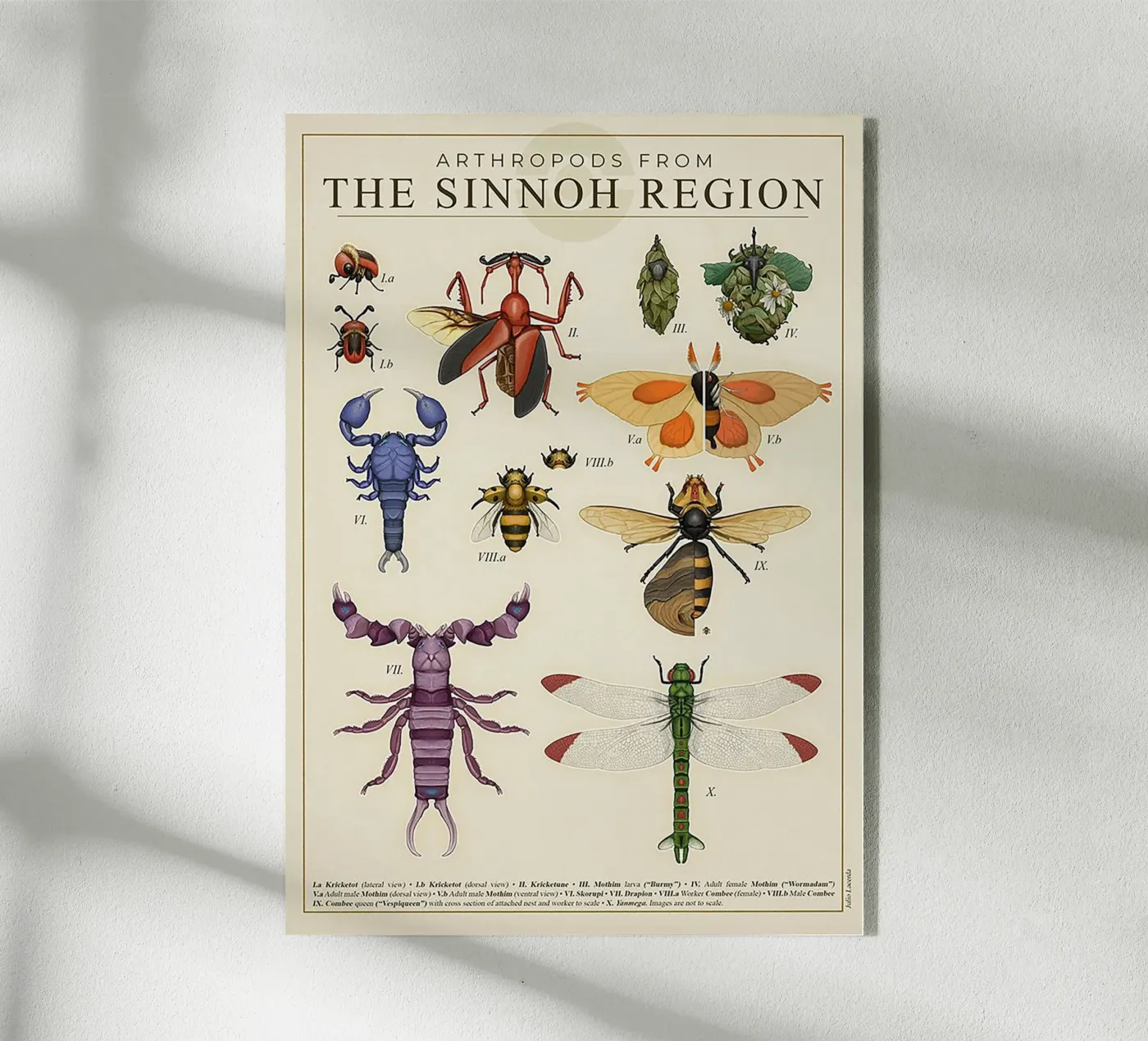 Sinnoh Region Insect Guide plexiglass da Attaboy Dsgn