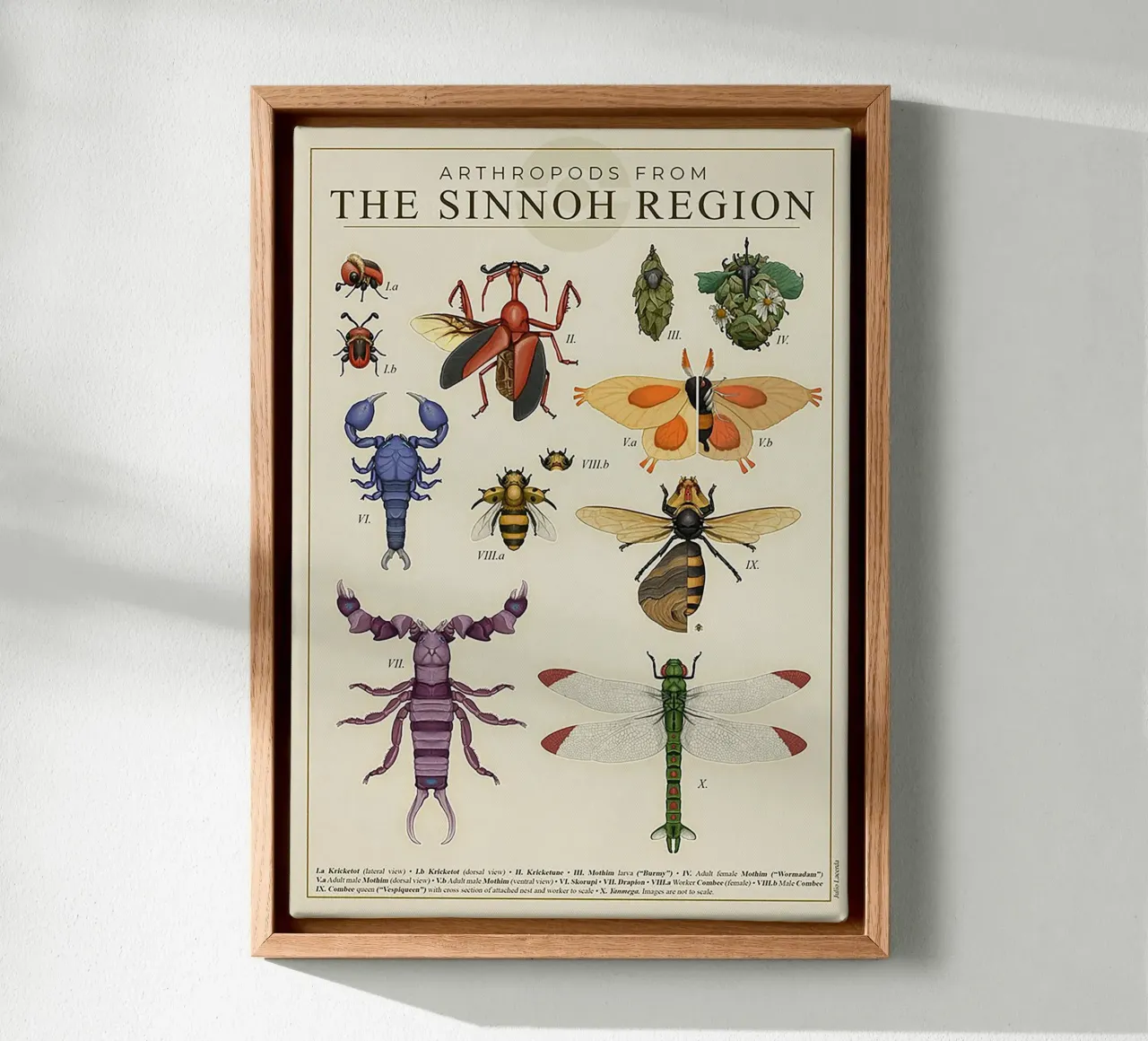 Sinnoh Region Insect Guide tela con Cornice a cassetta da Attaboy Dsgn