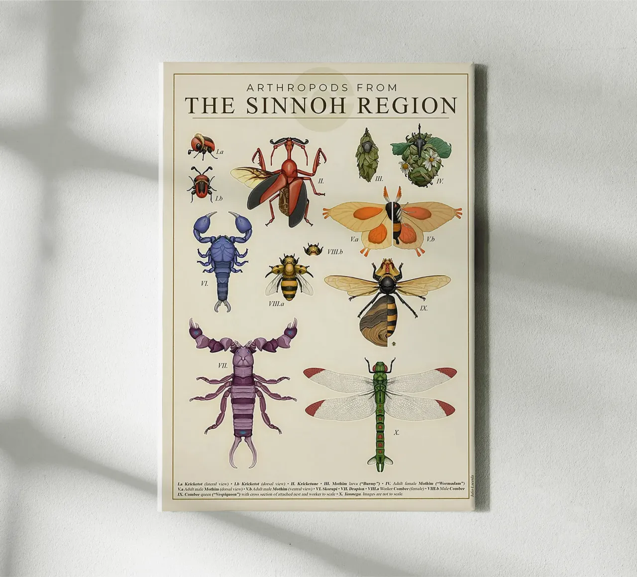 Sinnoh Region Insect Guide tela con Cornice a cassetta da Attaboy Dsgn