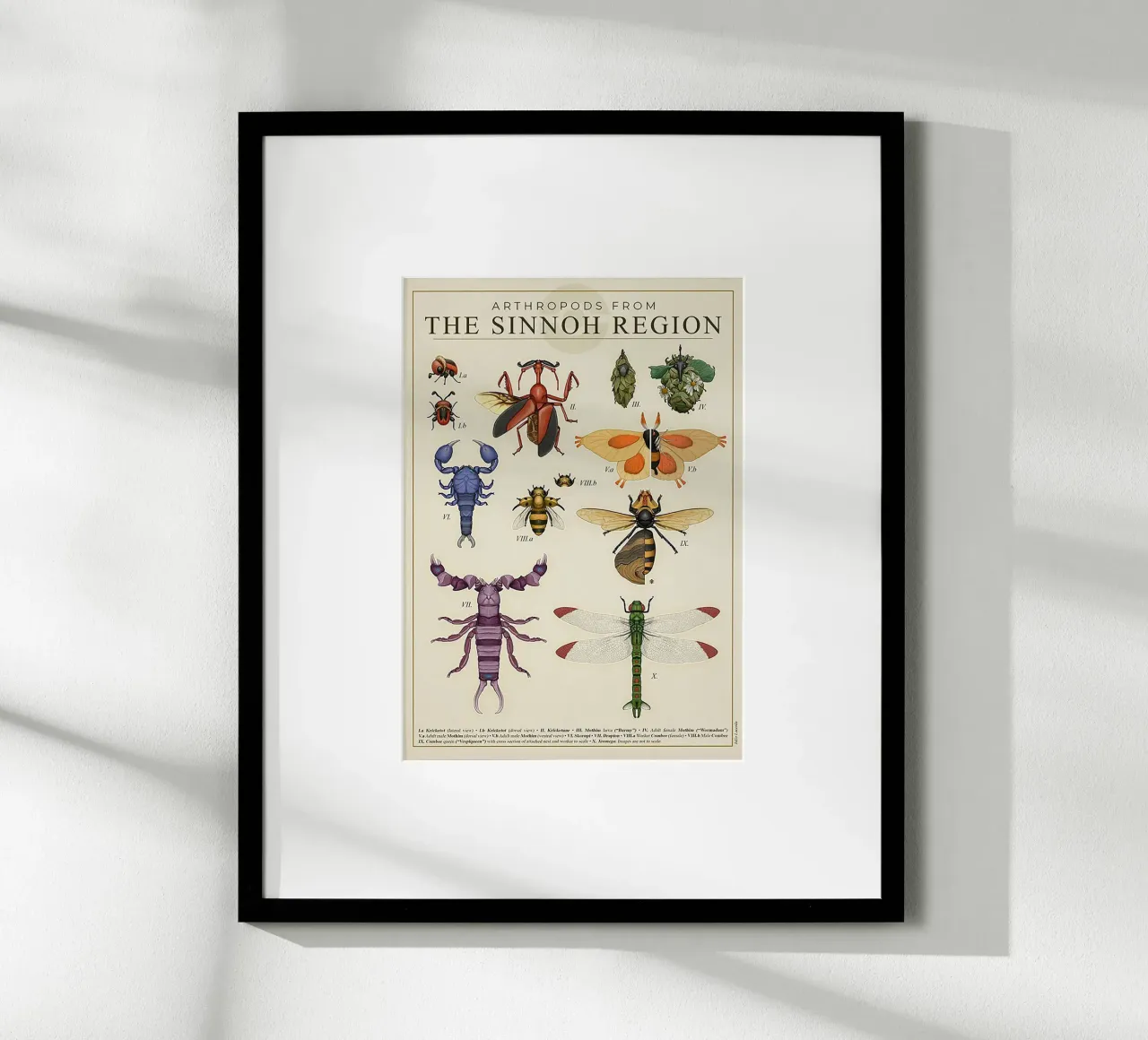 Sinnoh Region Insect Guide poster con telaio in plastica da Attaboy Dsgn
