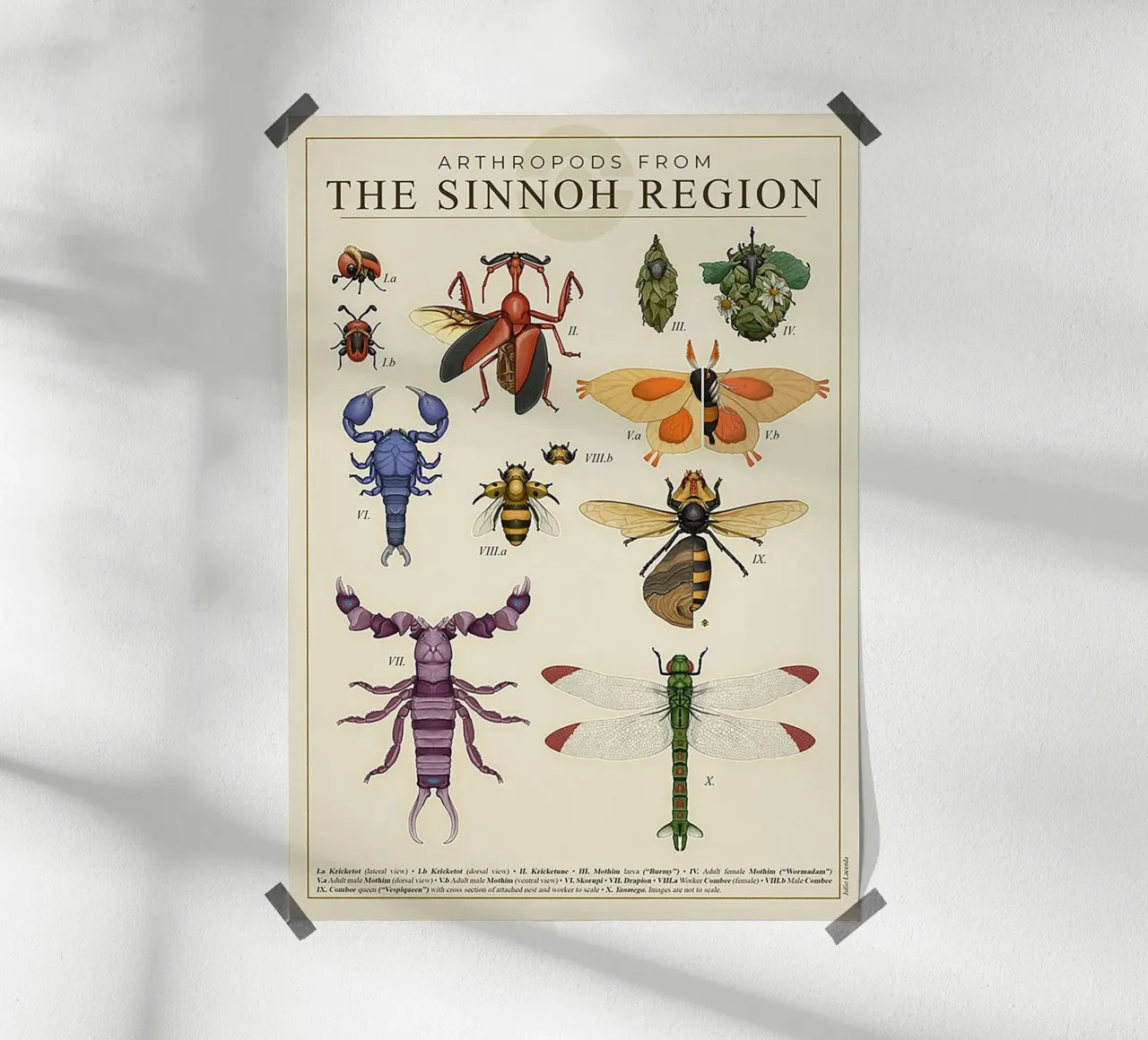 Sinnoh Region Insect Guide poster con telaio in plastica da Attaboy Dsgn