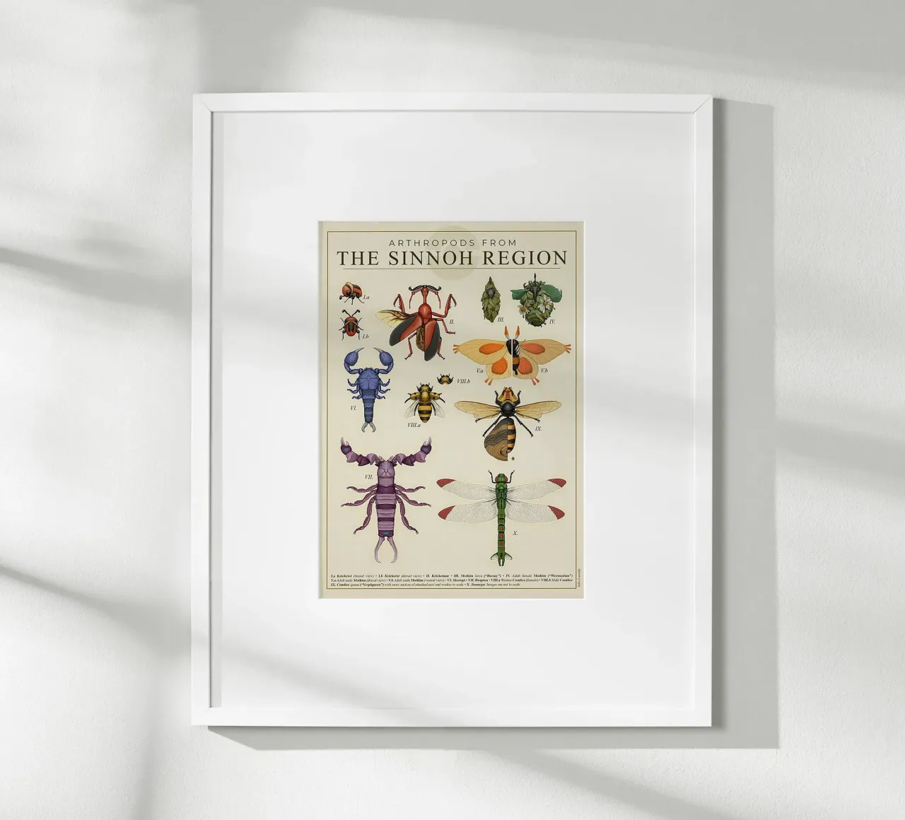 Sinnoh Region Insect Guide poster con telaio in plastica da Attaboy Dsgn