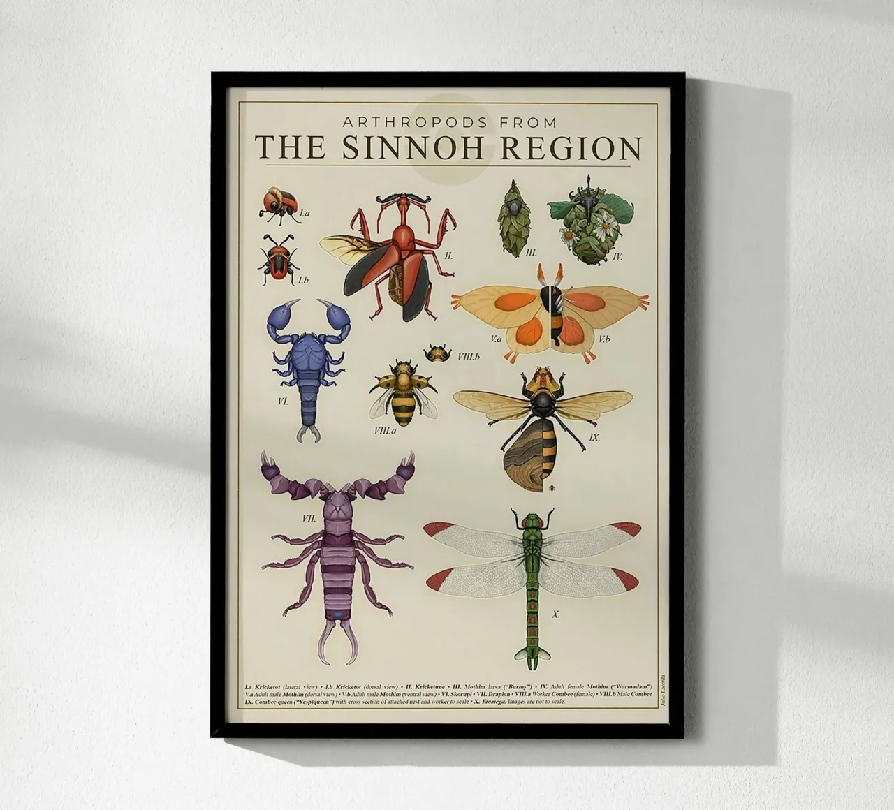 Sinnoh Region Insect Guide poster con telaio in plastica da Attaboy Dsgn