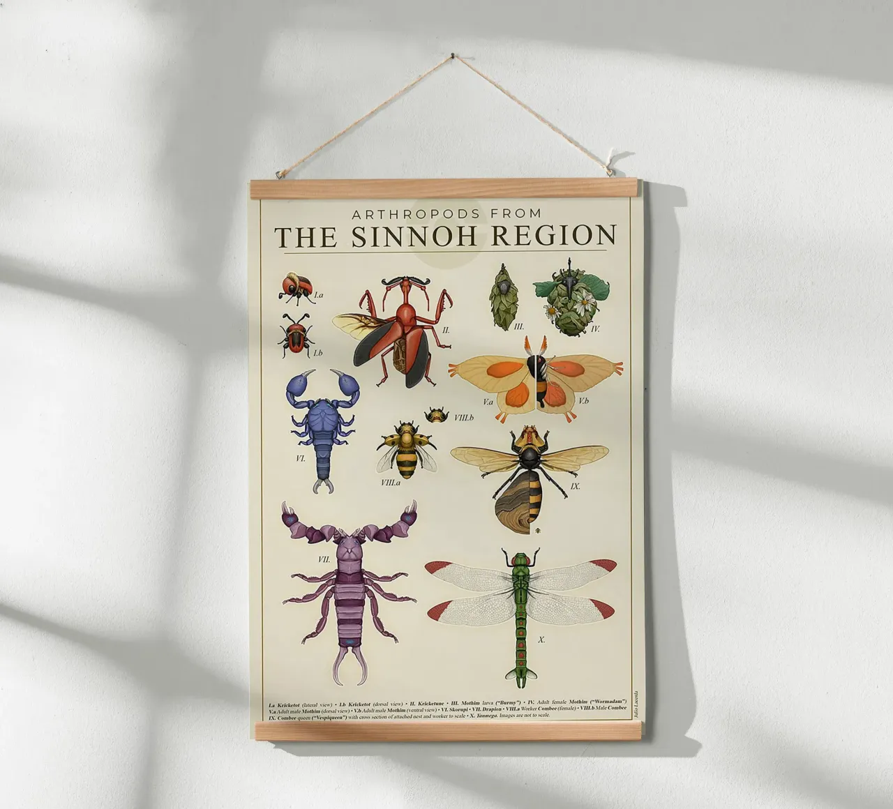Sinnoh Region Insect Guide poster con telaio in plastica da Attaboy Dsgn