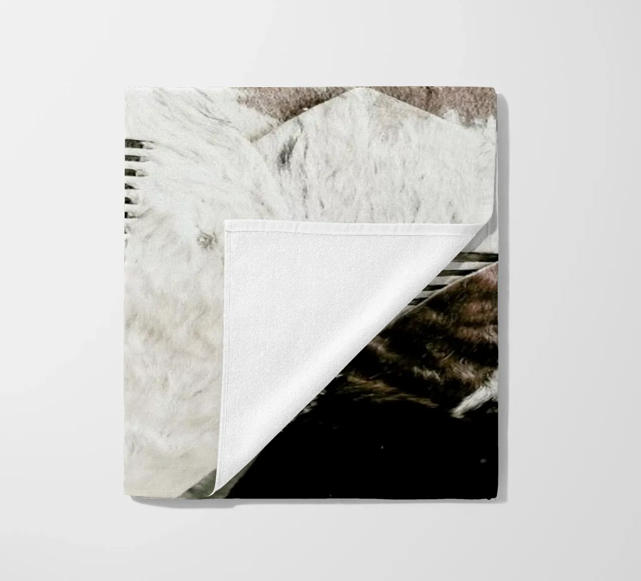 Zulu Warrior telo mare da Shot By Clint