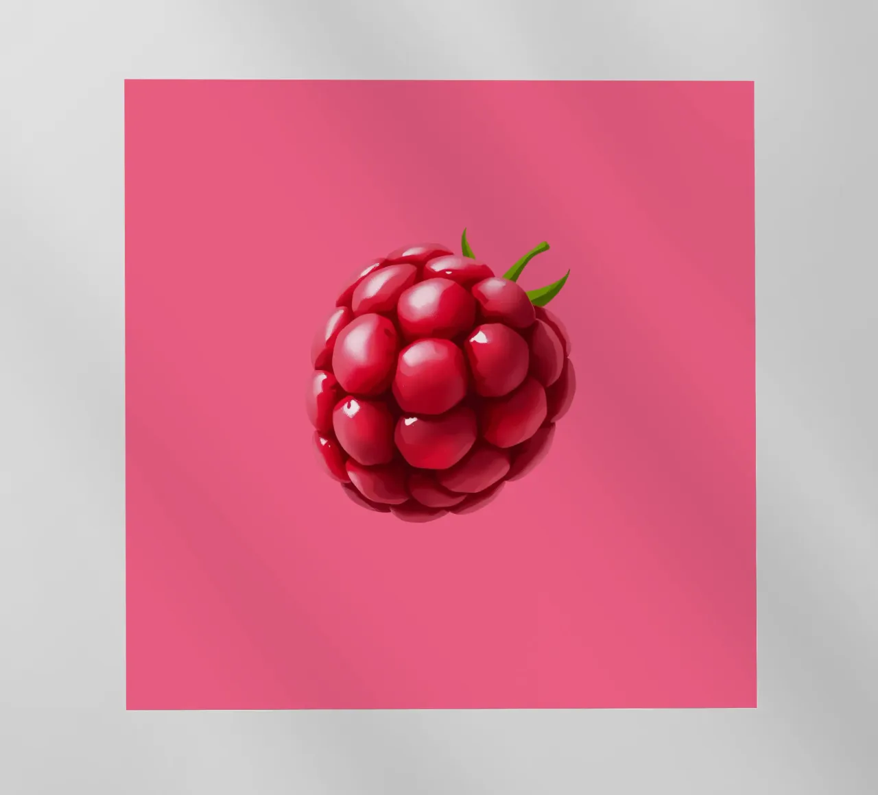 Lampone fresco su sfondo rosa pellicola backlit da DesignDoodle