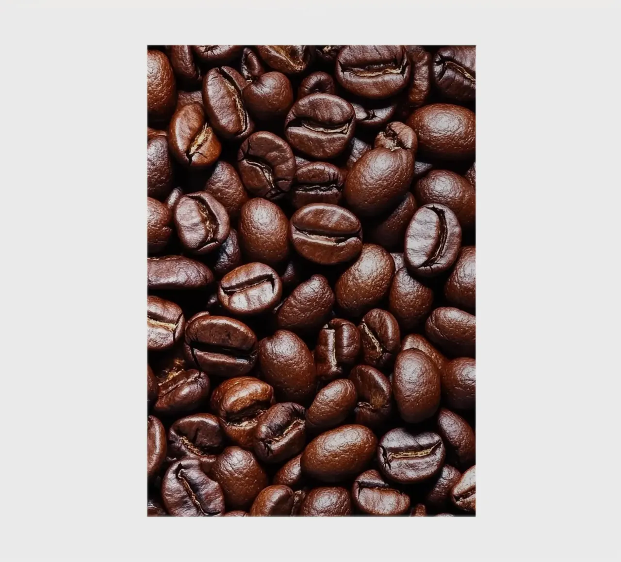coffee beans notebook by Luke Yaeger