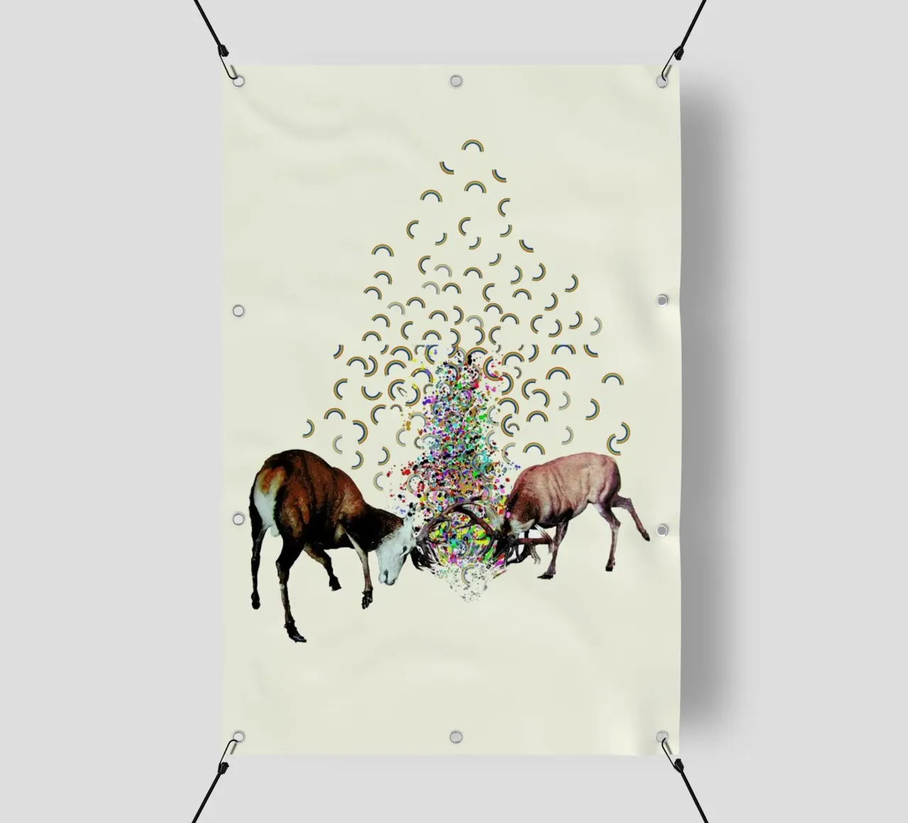 creating rainbows telo in pvc da Brian Buckley