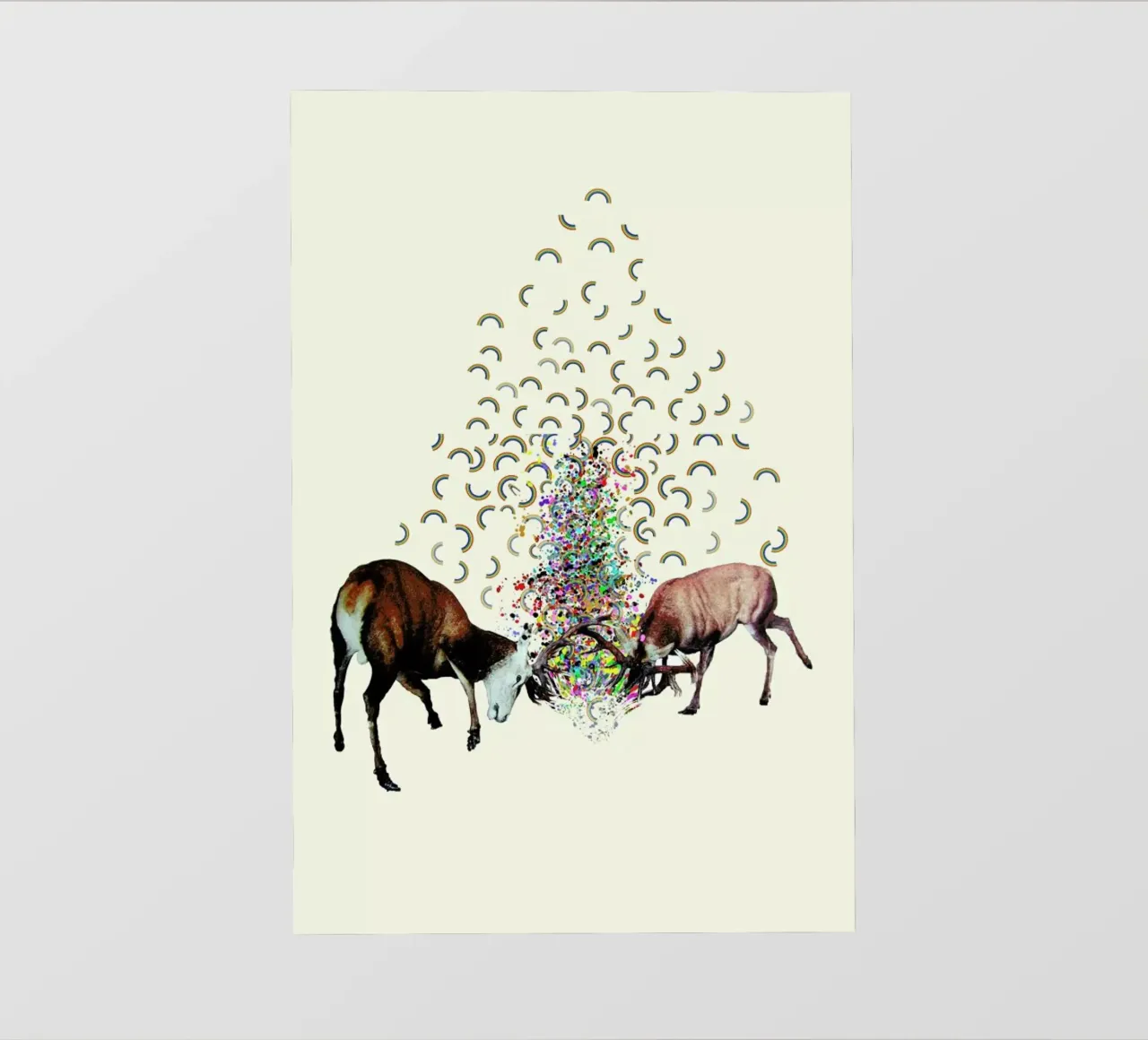 creating rainbows telo in pvc da Brian Buckley