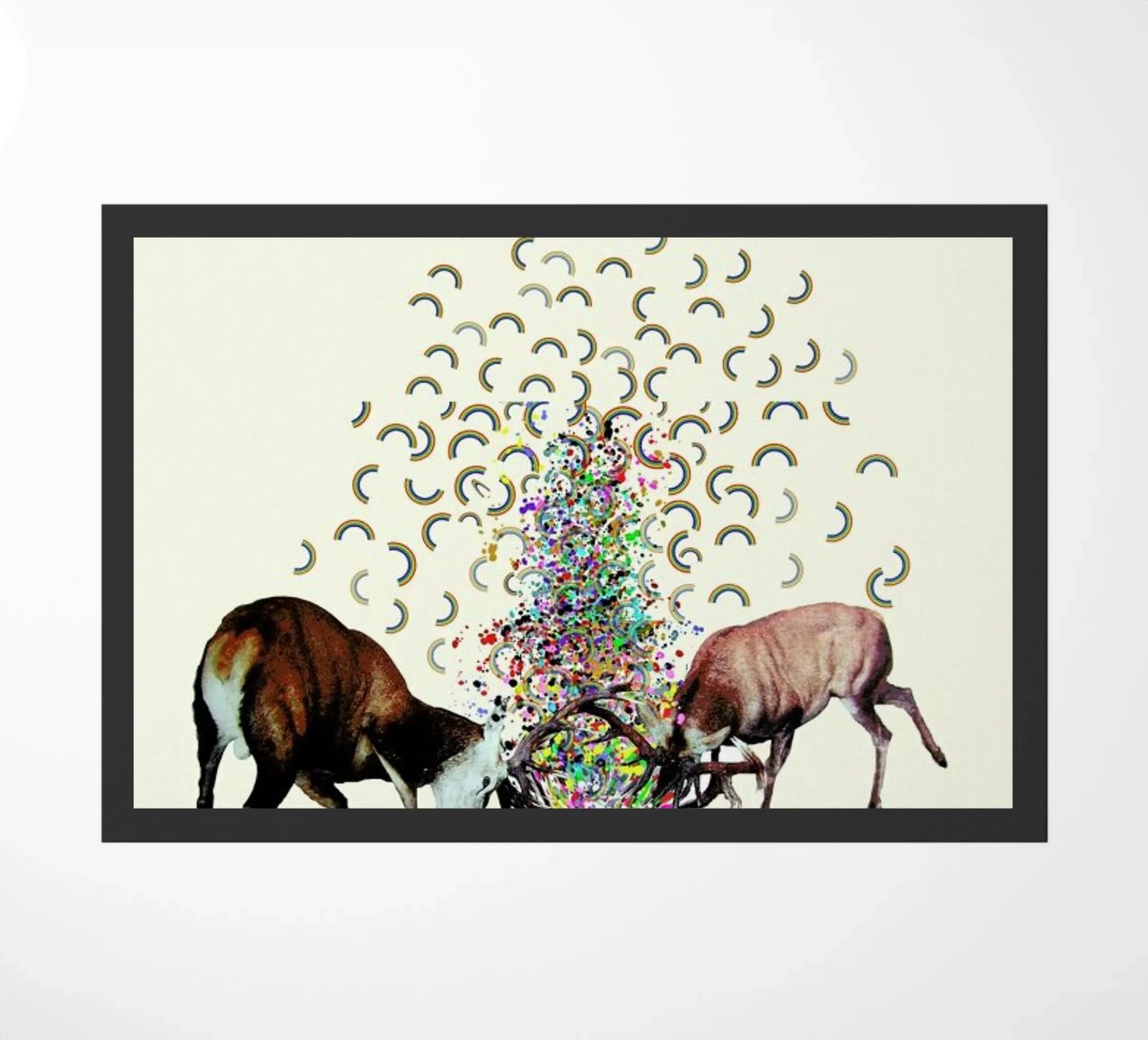 creating rainbows zerbino da Brian Buckley