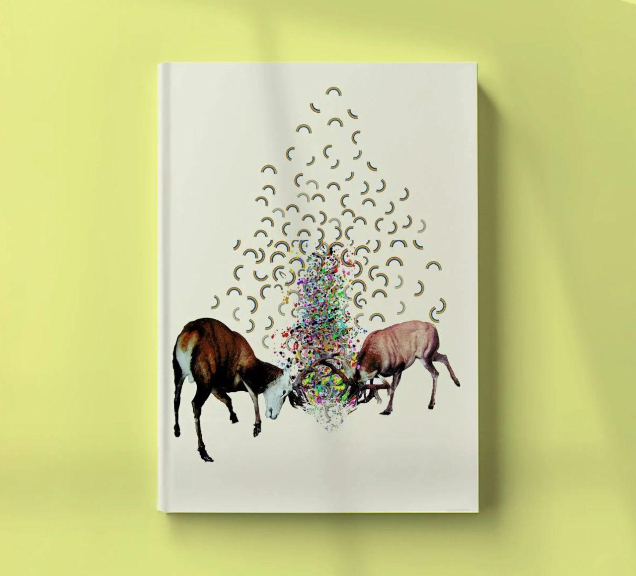 creating rainbows notebook by Brian Buckley