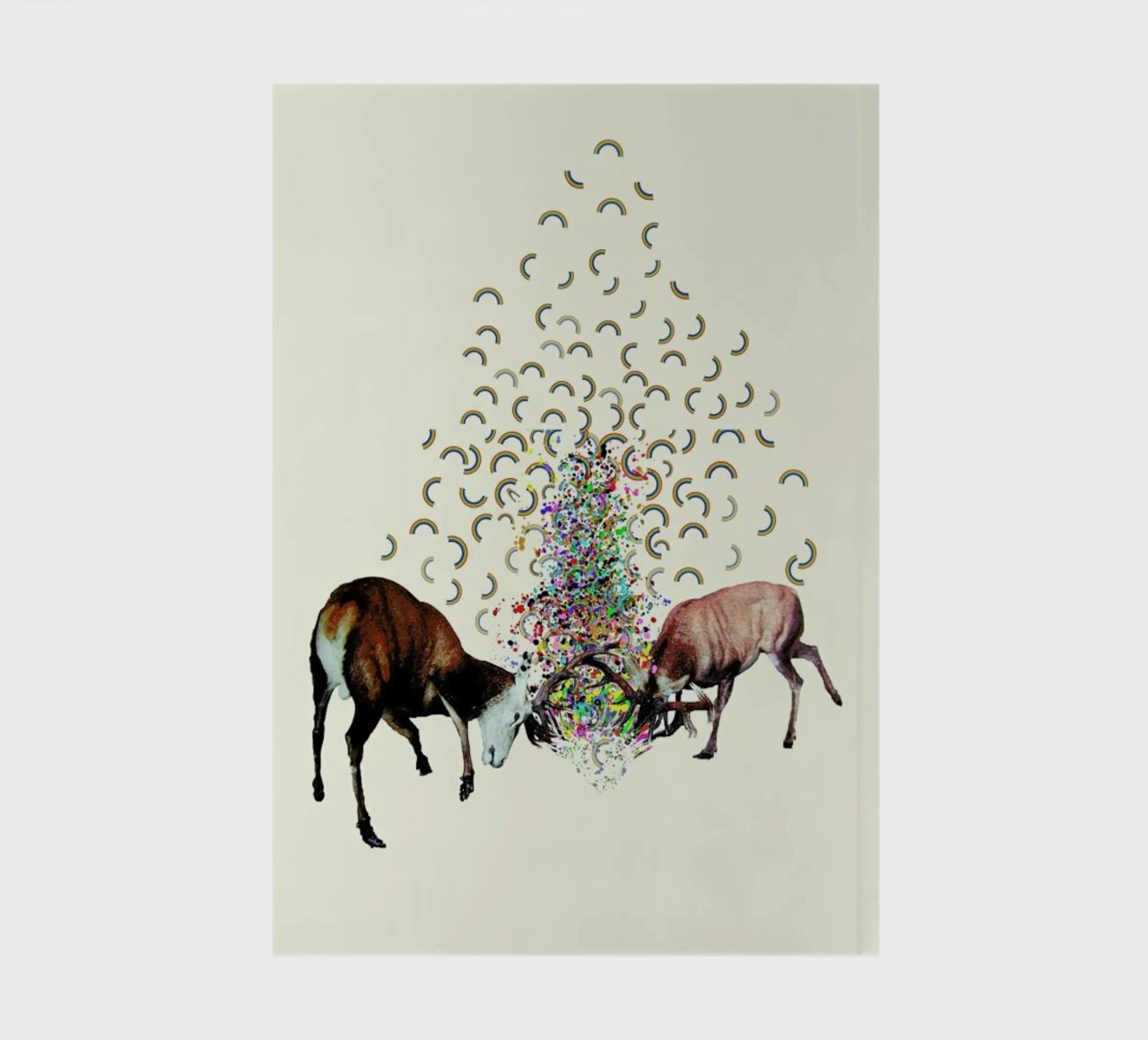 creating rainbows notebook by Brian Buckley