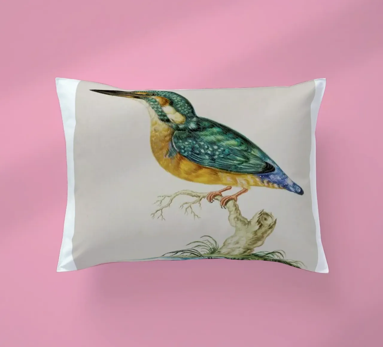 Johann Ludwig Morgenstern - Kingfisher cuscino da ARTOTHEK